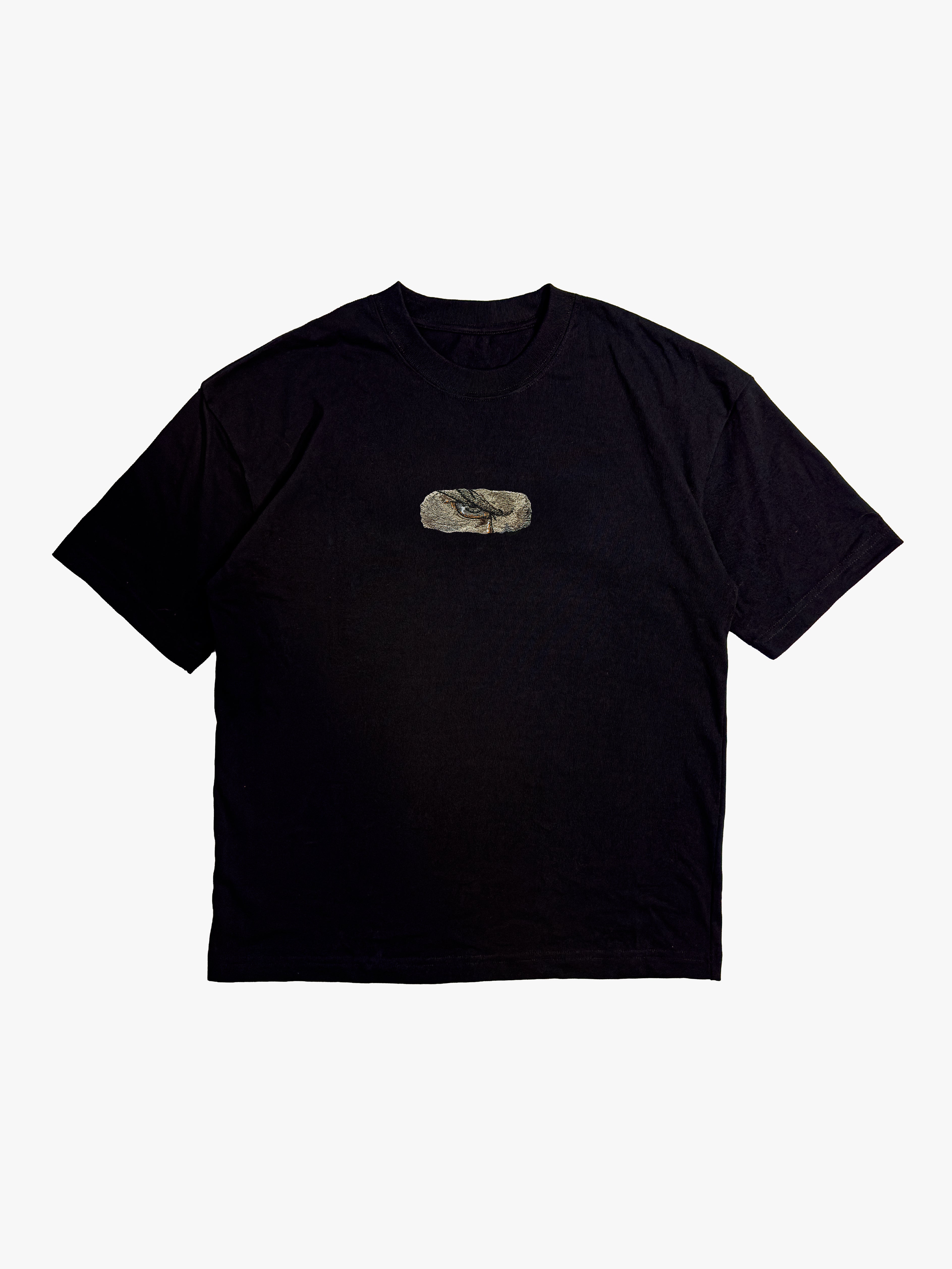 La Mirada del Ángel Caído