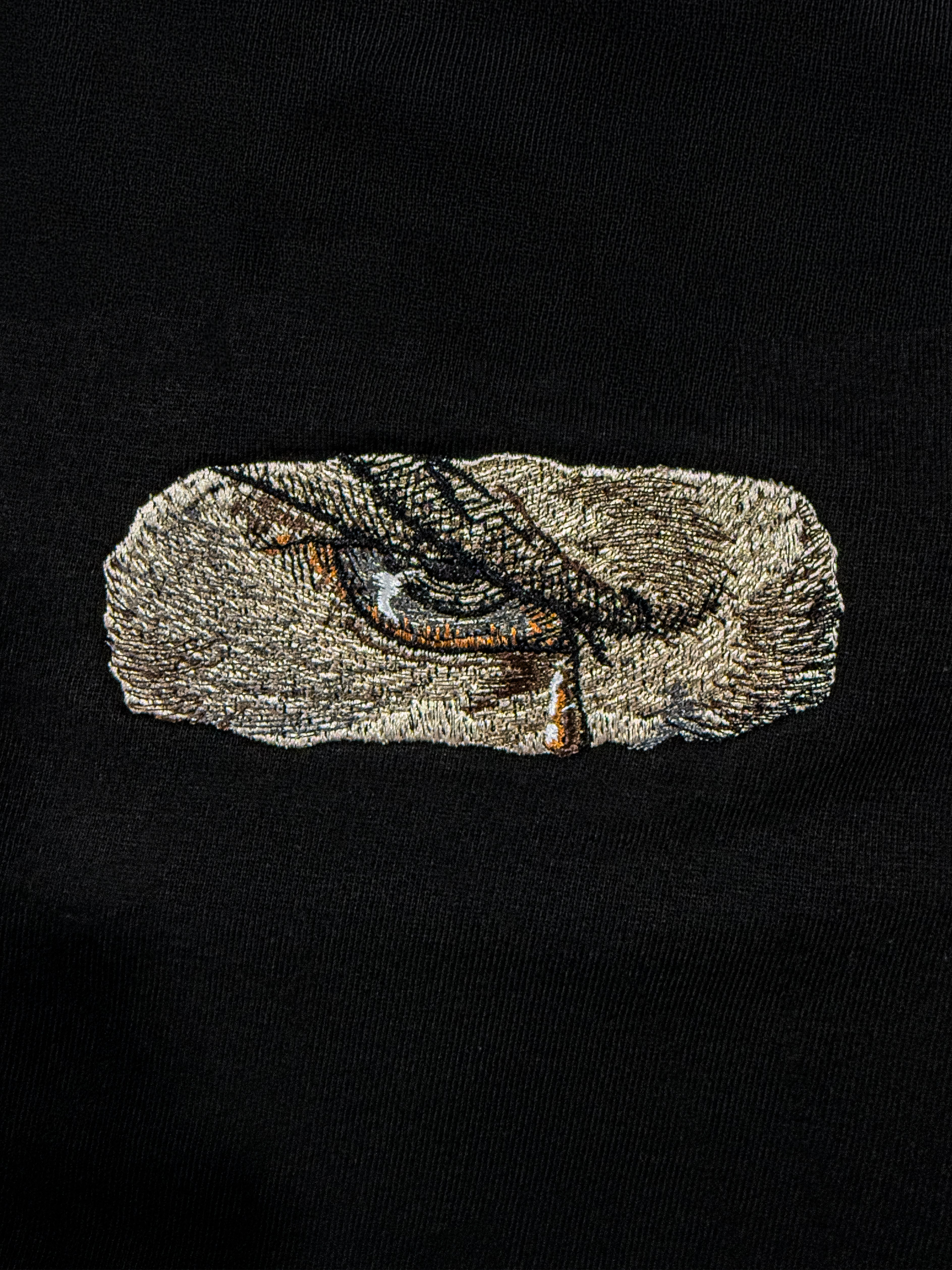 La Mirada del Ángel Caído