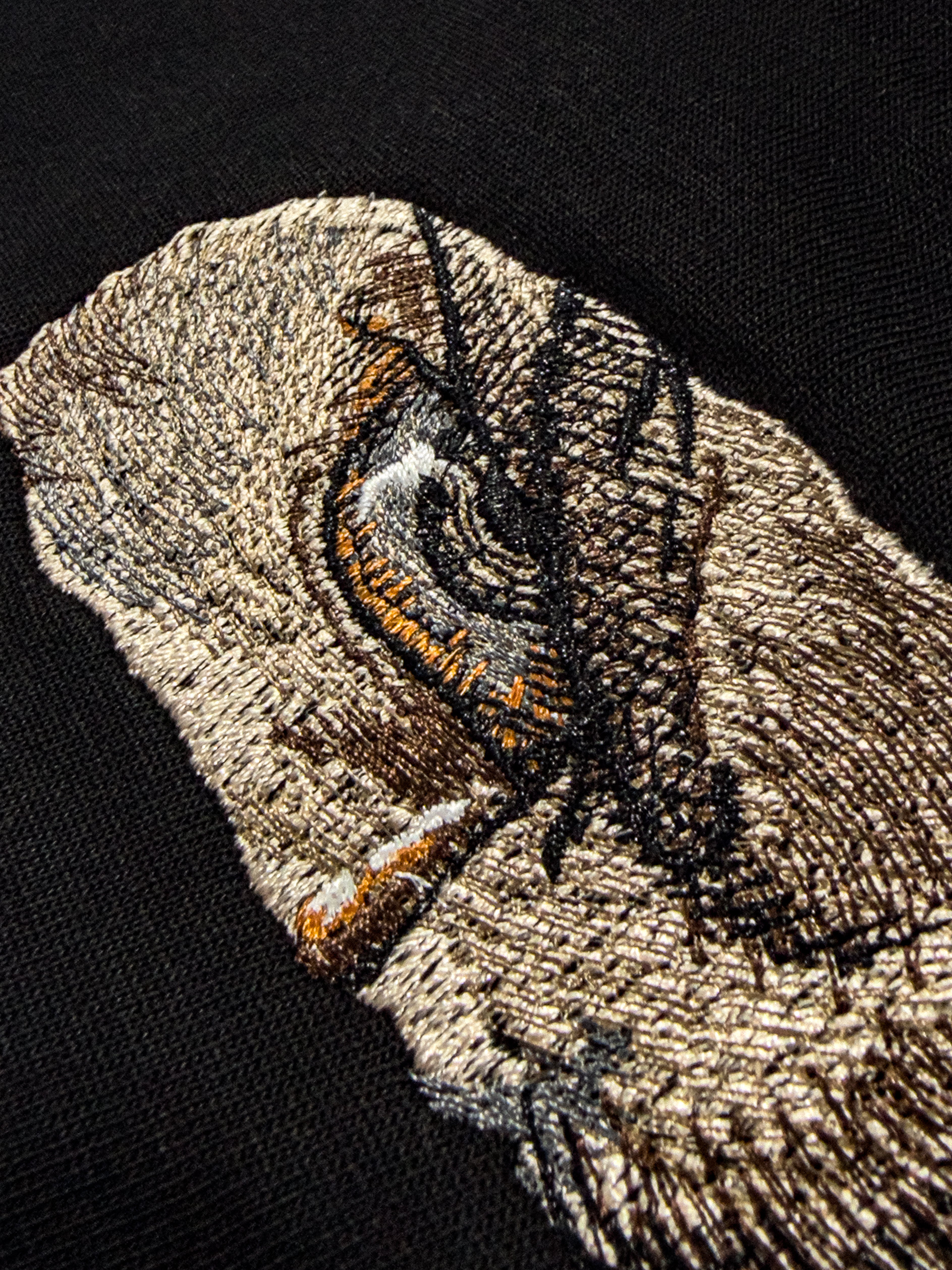 La Mirada del Ángel Caído